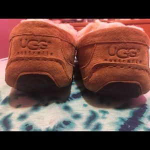 Men Ugg Ascot Slipper 💯